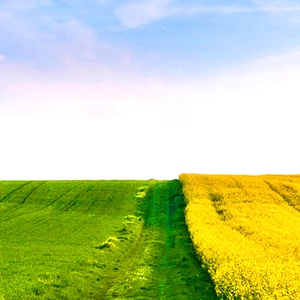 Добрива Добрива